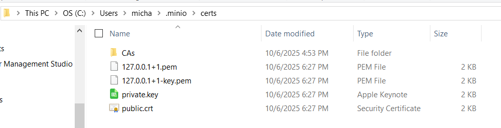 MinIO certs